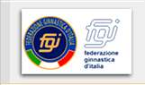 logo FGI